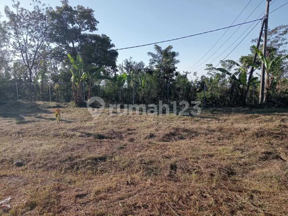 Dijual Tanah Shm Murah 760 M2 Di Wanagiri Buleleng Bali - Image 3 of 4