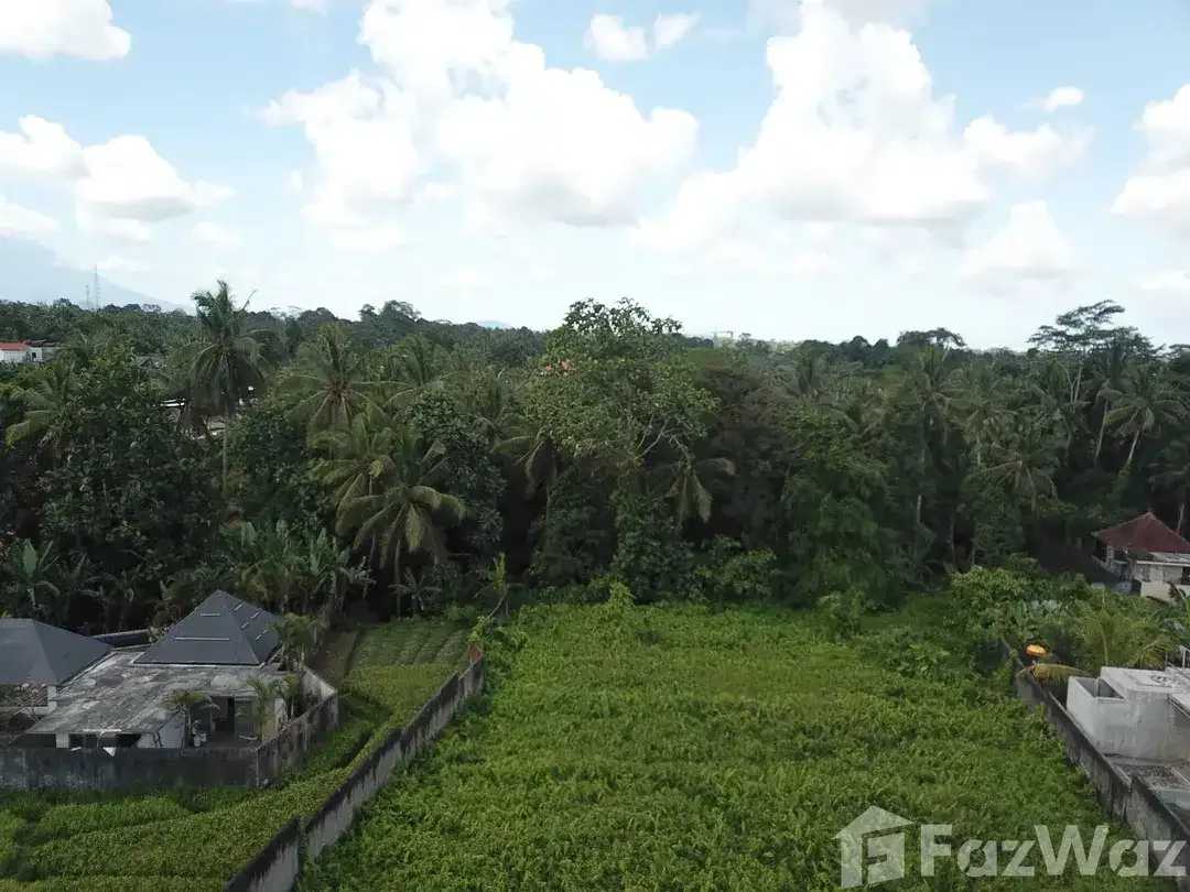 Land for sale in Ubud, Bali - Image 4 of 5