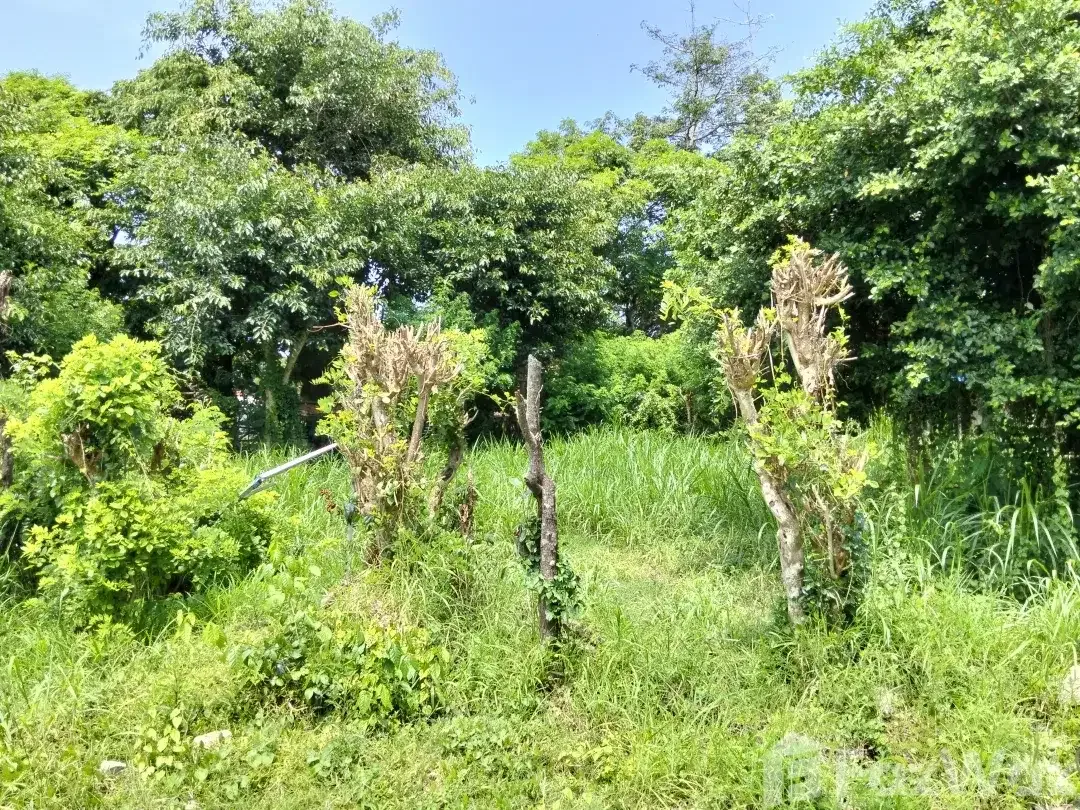 Land for sale in Uluwatu, Bali - Image 2 of 6