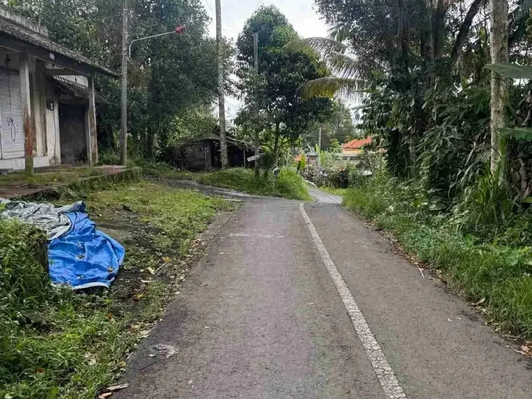 Tanah Luas View Gunung Agung di Kerta Payangan Ubud - Image 4 of 10