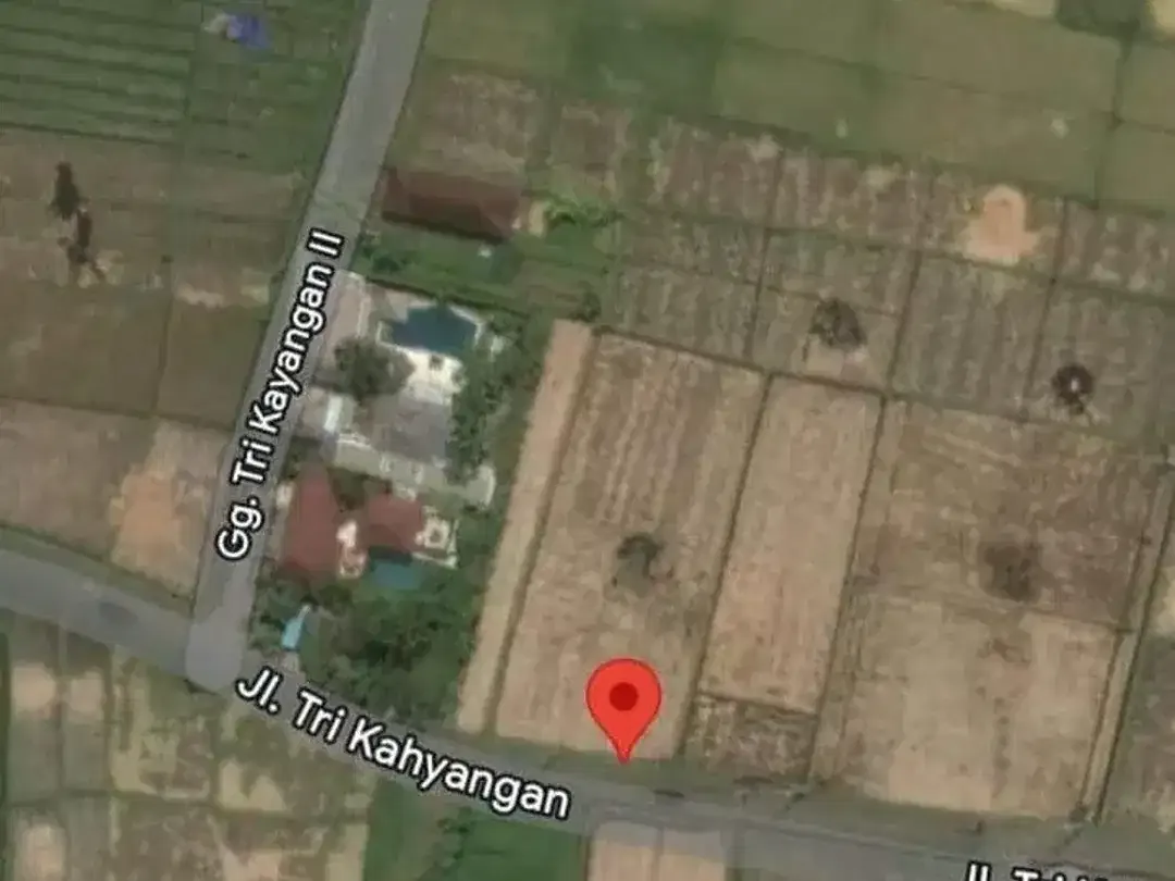 Tanah 16,68 Are Zona Perumahan Dijual, di Kedungu Tabanan Area - Image 3 of 7