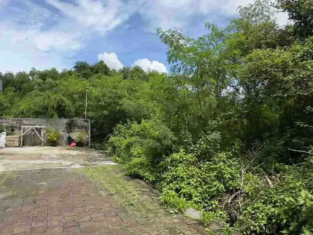 Dijual Cepat Tanah 175m2 Jimbaran Dekat Imigrasi - Image 2 of 8