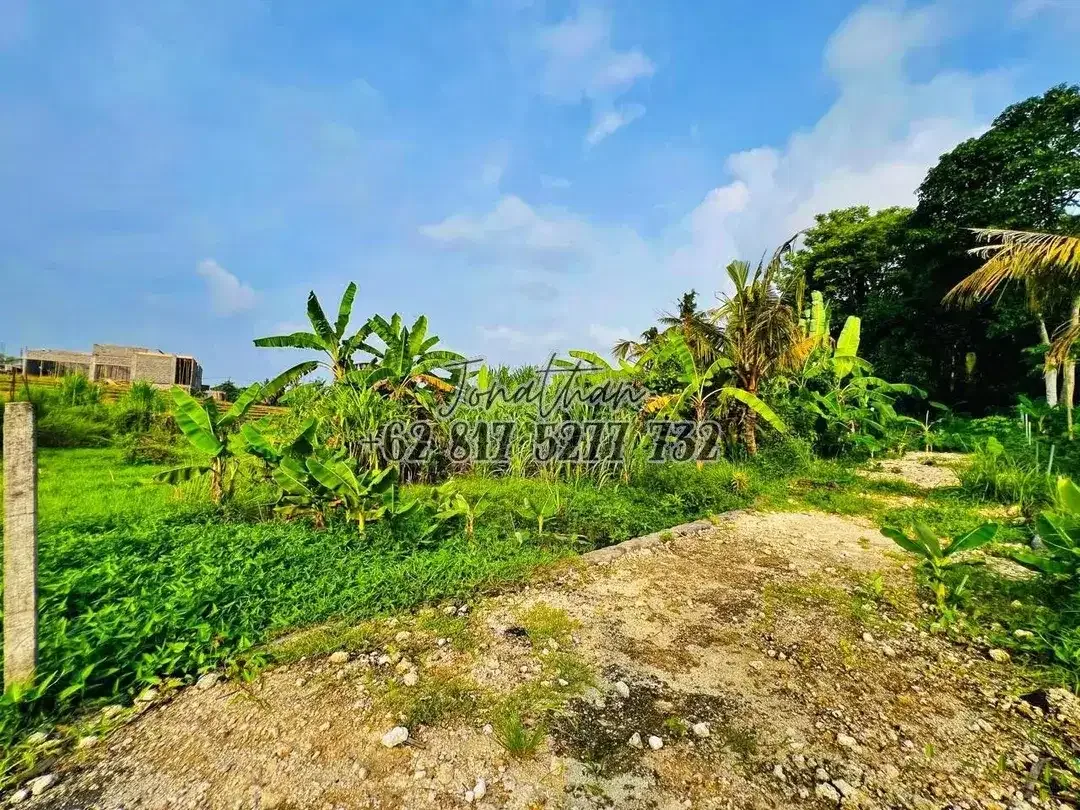 Dijual Tanah View Sawah Zona Wisata di Pantai Nyanyi Tabanan Bali - LSADT - Image 10 of 10