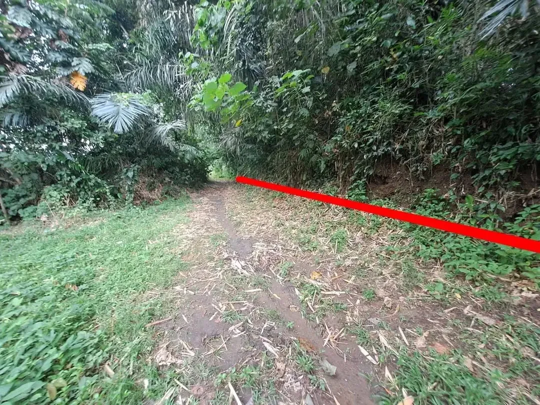 Prime Riverside Land In Mambal, Abiansemal, Quiet Area, Close To Central Ubud, Suitable For Villa - Image 4 of 6