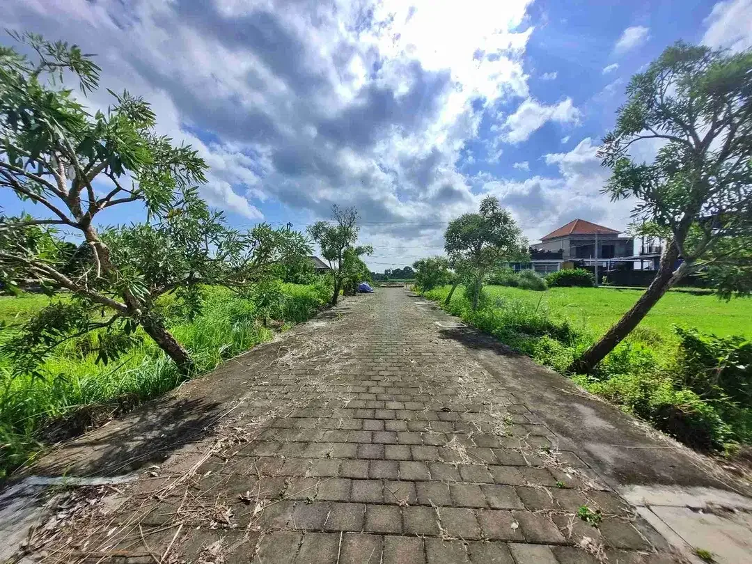Tanah Premium 500m² Surf Area Kedungu - Image 6 of 10