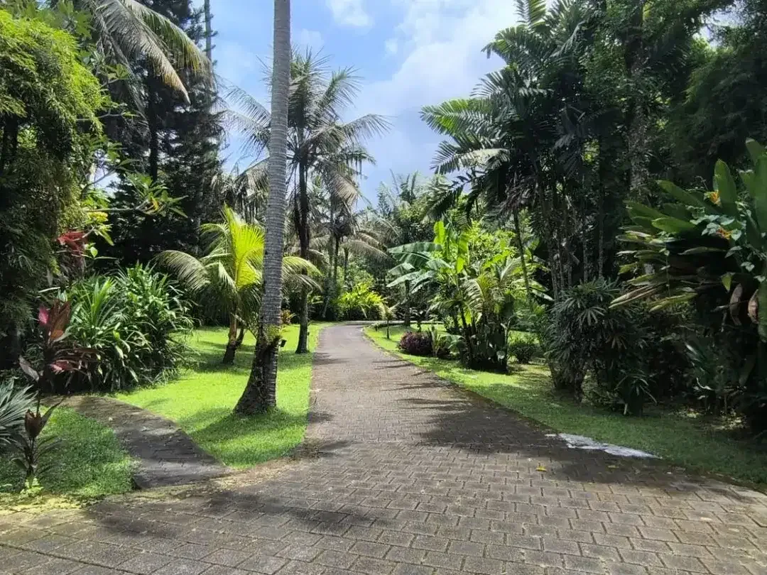 Villa 6 Bed, Pinggir Pantai Soka, Full Ocean, Full Sunseat View, Tabanan - Image 4 of 9