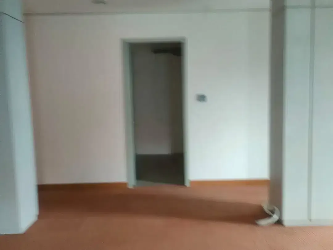 Disewakan Gedung Komersial Premium di Kawasan Teuku Umar – Cocok untuk Kantor, Bank, Klinik & Bisnis Skala Besar - Image 8 of 10