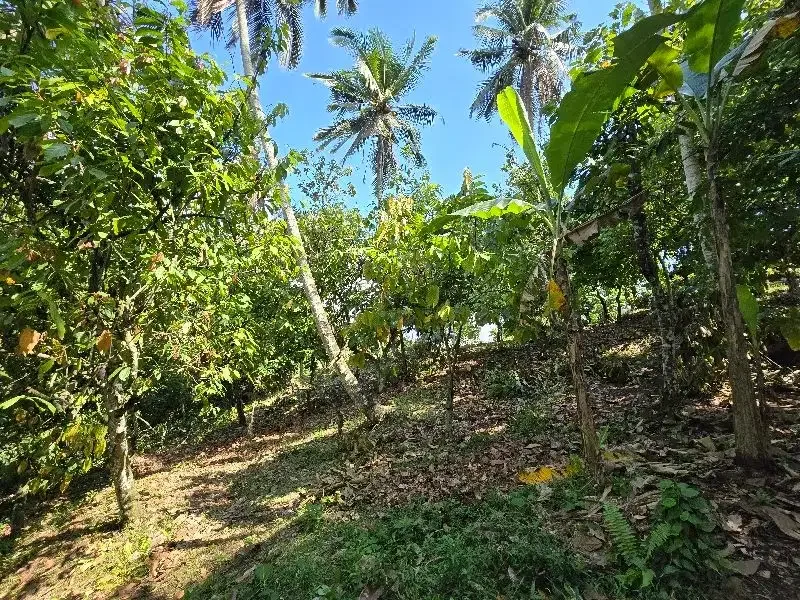 DIJUAL TANAH LOS SUNGAI di tabanan bali BEBATUAN - Image 4 of 10