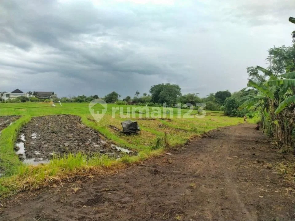 Boutique Tourism Land Near Munggu & Cemagi Beach - Image 1 of 4