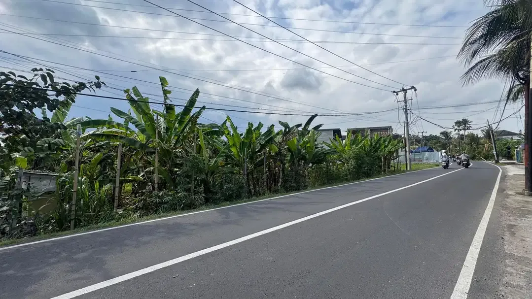 tanah murah di jalan utama tumbak bayuh canggu, lokasi strategis - Image 1 of 7