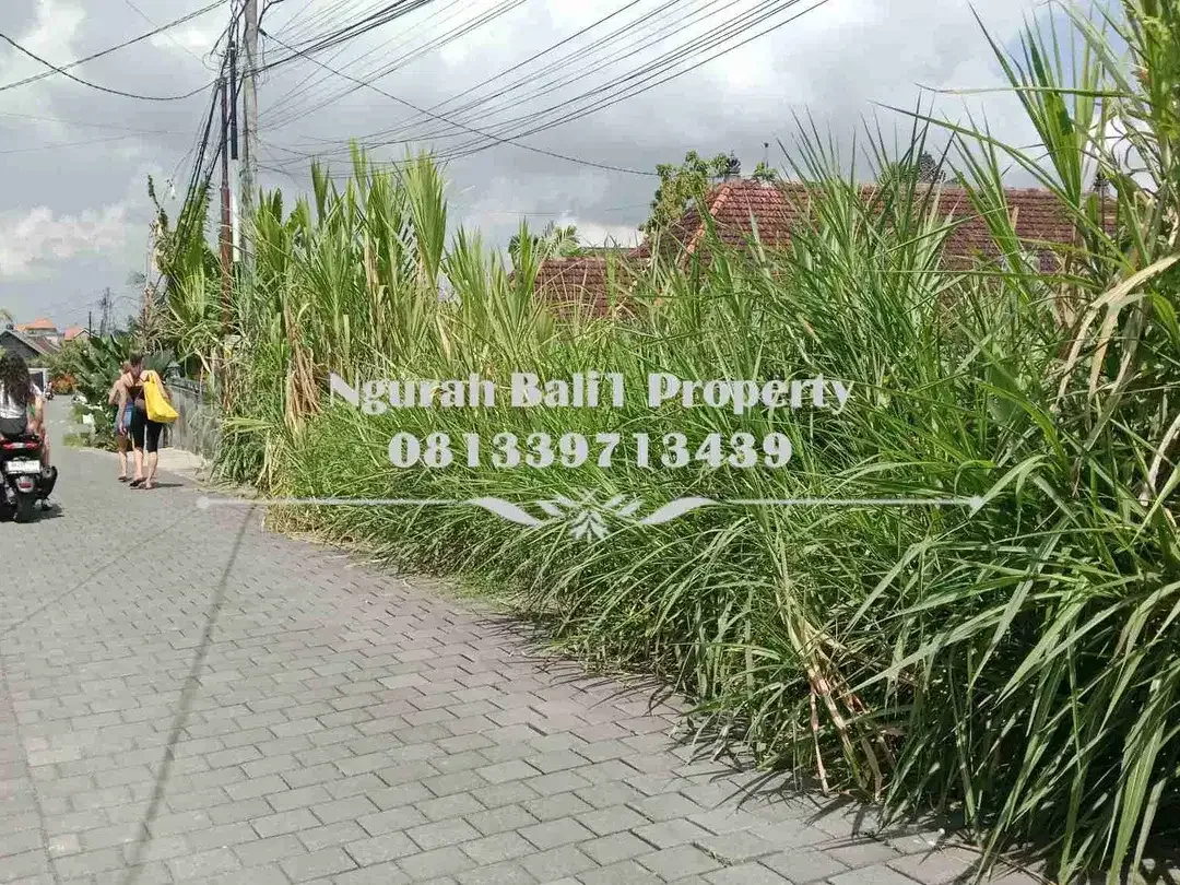 Tanah Dijual Murah Luas 7  Are Kawasan Villa di Petulu Ubud - Image 4 of 4