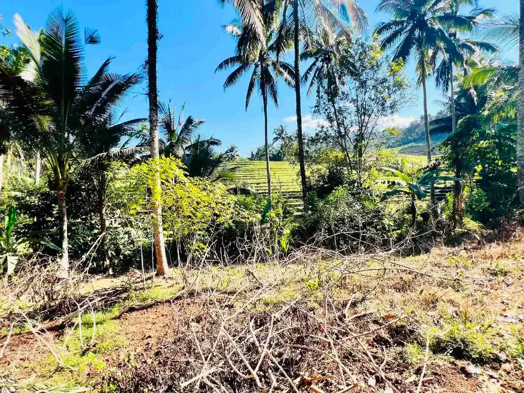 jual tanah Luas 950 m² harga 380 juta global, kawasan villa jarang ada, di tabanan bali. - Image 5 of 10