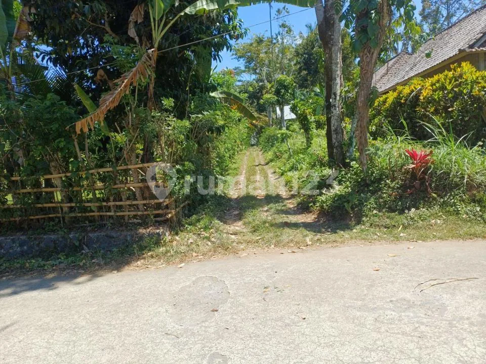 Di Jual Tanah Murah dan Strategis di Tegalalang - Image 4 of 4