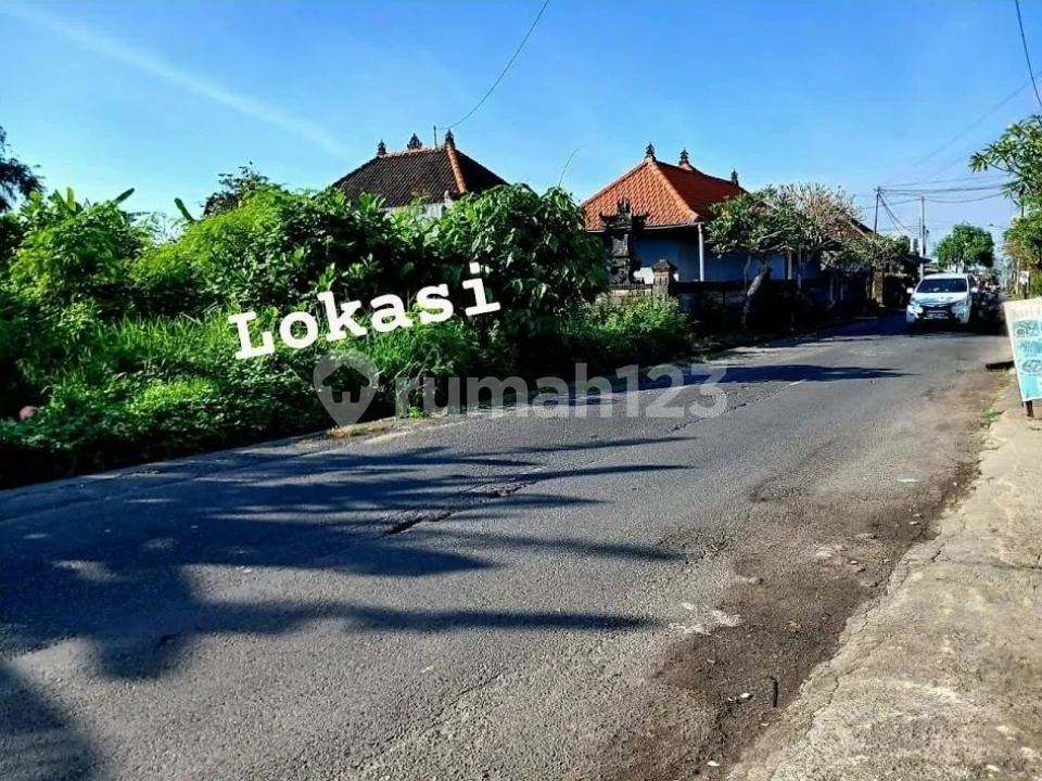 Tanah Murah Strategis Pinggir Jalan Raya Cekomaria Denpasar - Image 3 of 4