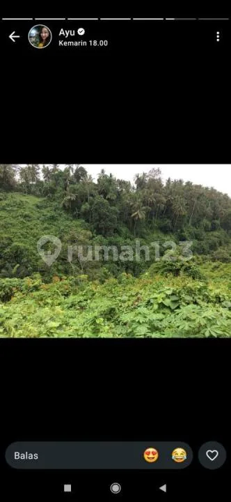 Tanah View Lembah Sungai Hutan Airterjun untuk Resort - Image 2 of 4