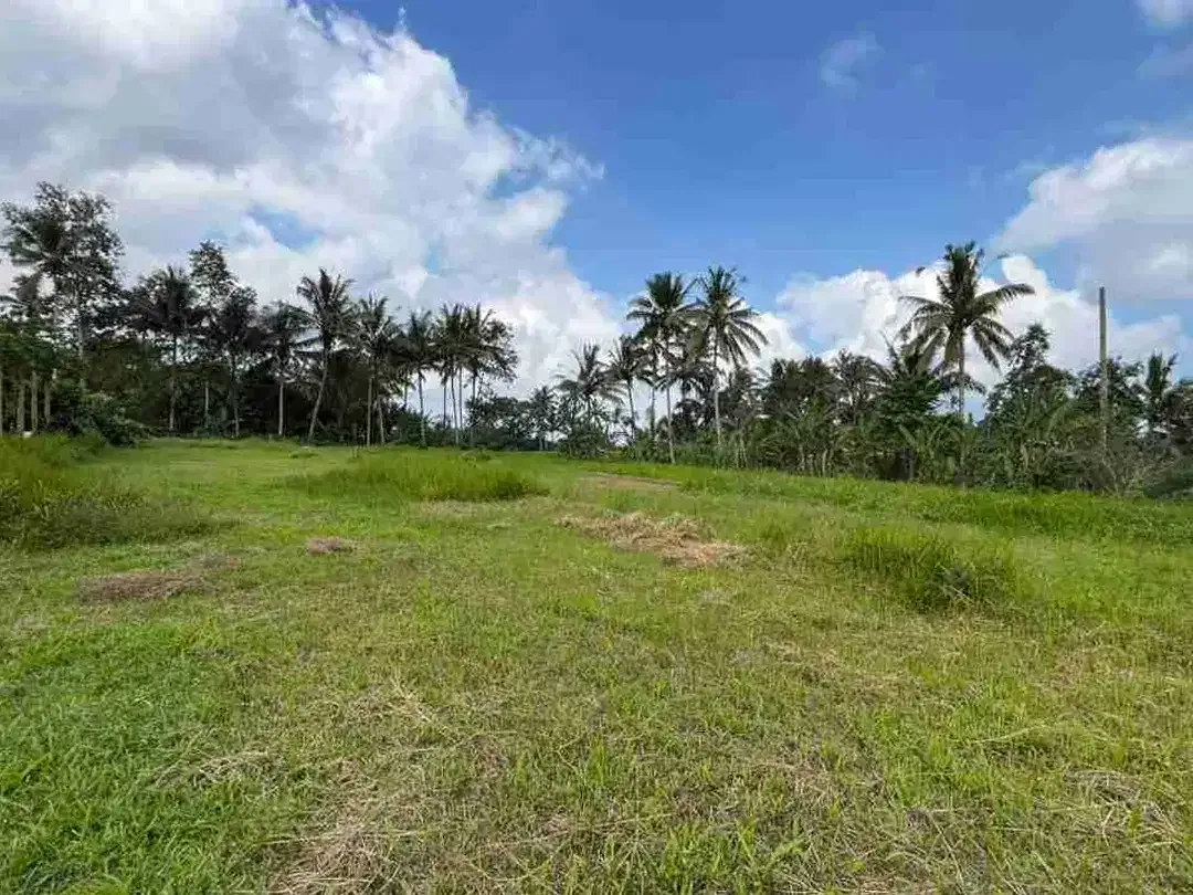 jual tanah flat datar di tabanan bali. - Image 9 of 10