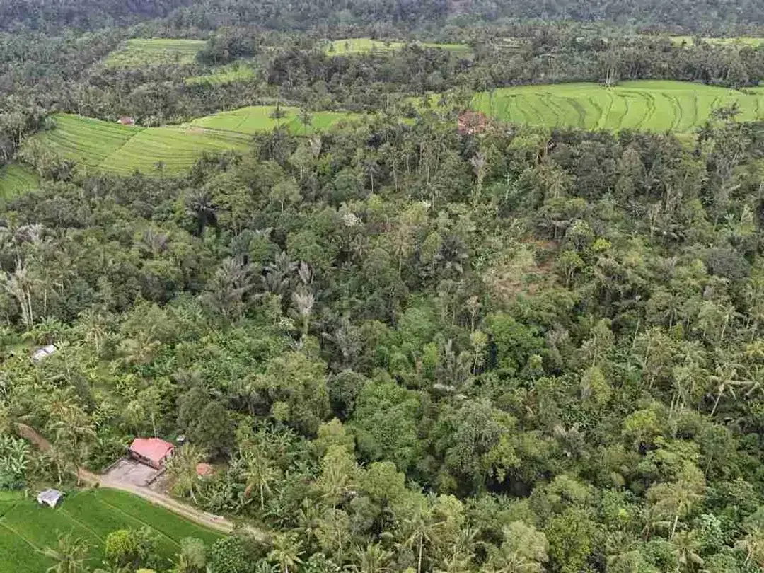 jual tanah kebun view sawah, gunung dan los sungai cantik di tabanan bali. - Image 5 of 10