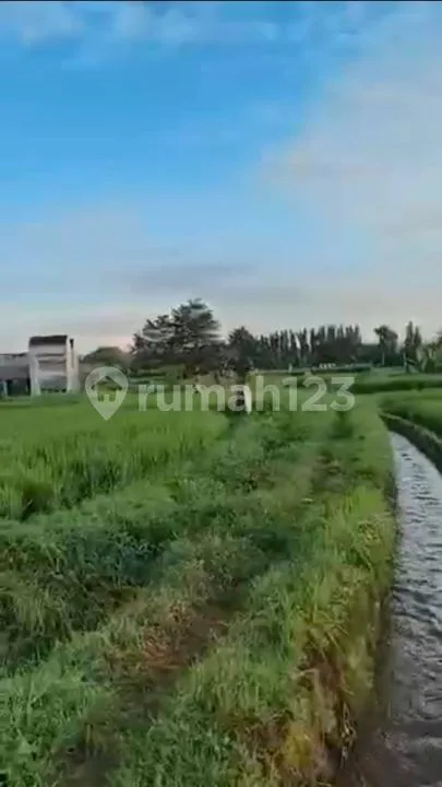 Tanah Luas Stragis Dekat Pusat Ubud di Peliatan, Gianyar Bali - Image 2 of 4