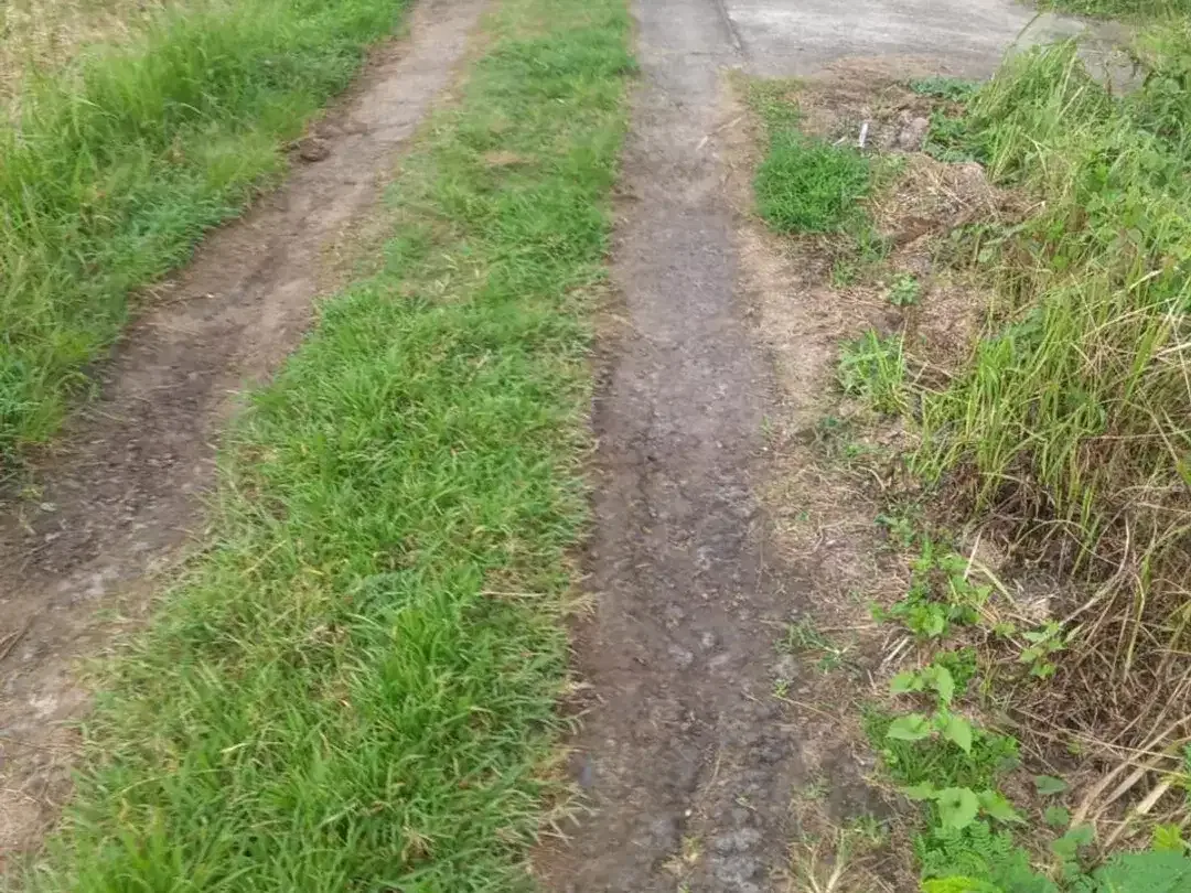 Dijual Tanah di Kawasan Tegal Mengkeb, Selemadeg Timur - Tabanan, - Image 3 of 3