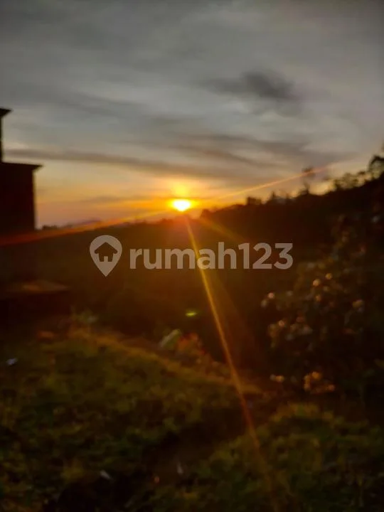 Dijual Tanah Kawasan Wisata Batu Turyapada, Buleleng Bali Utara - Image 2 of 4
