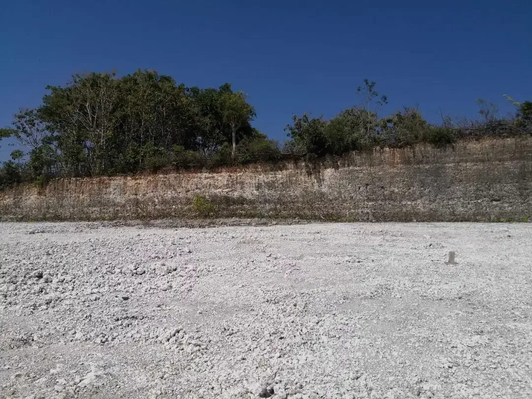 DIJUAL TANAH KAVLING 4 ARE DI UNGASAN KUTA BADUNG - Image 2 of 6