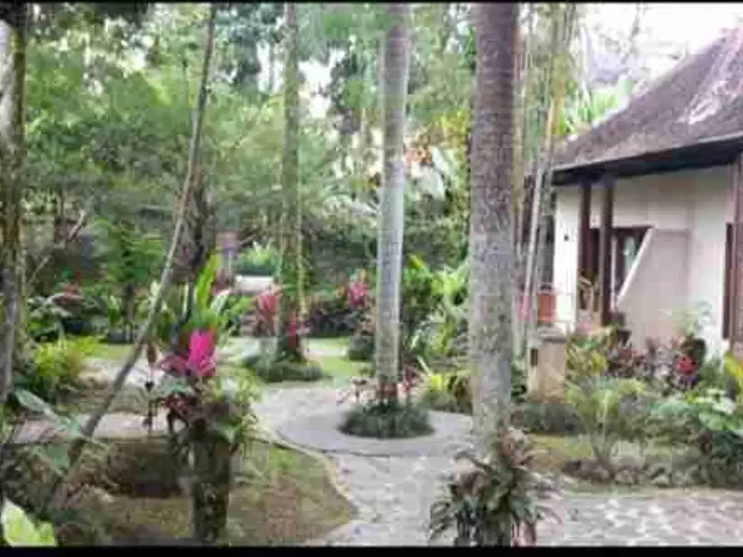 FOR SALE Ex-Resort Prime Riverfront, waterfall & Valley Resort Land in Central Ubud - Image 5 of 10