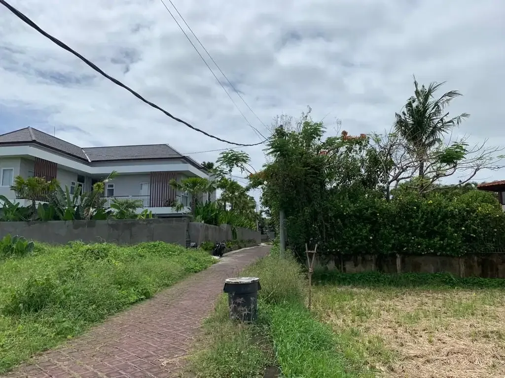 DIJUAL TANAH VIEW SAWAH LOKASI PERERENAN - Image 8 of 10