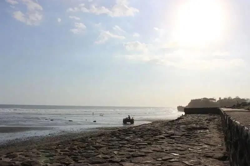 JUAL TANAH LUAS LOS PANTAI BERABAN TABANAN BALI - Image 4 of 10