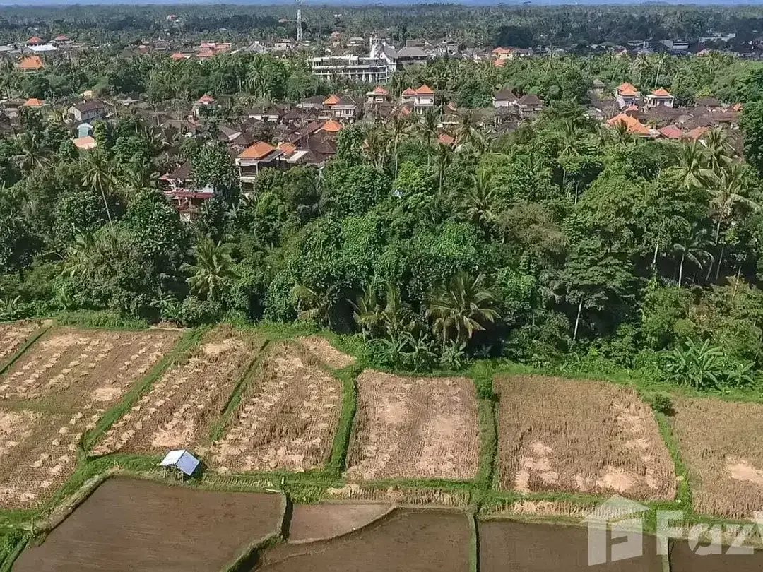 Land for sale in Ubud, Bali - Image 6 of 10