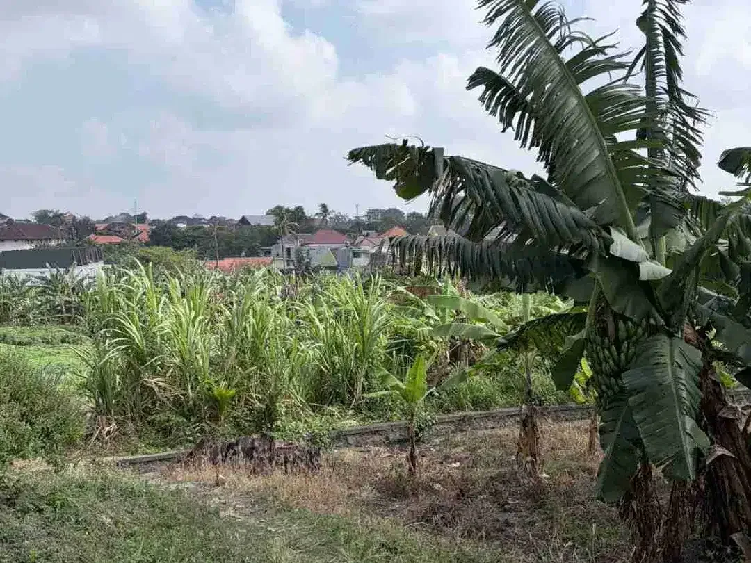 TANAH MURAH JALAN PANDU DALUNG PERBATASAN PADONAN CANGGU SIAP BANGUN, COCOK UNTUK GUESTHOUSE HOMESTAY VILLA - Image 4 of 7