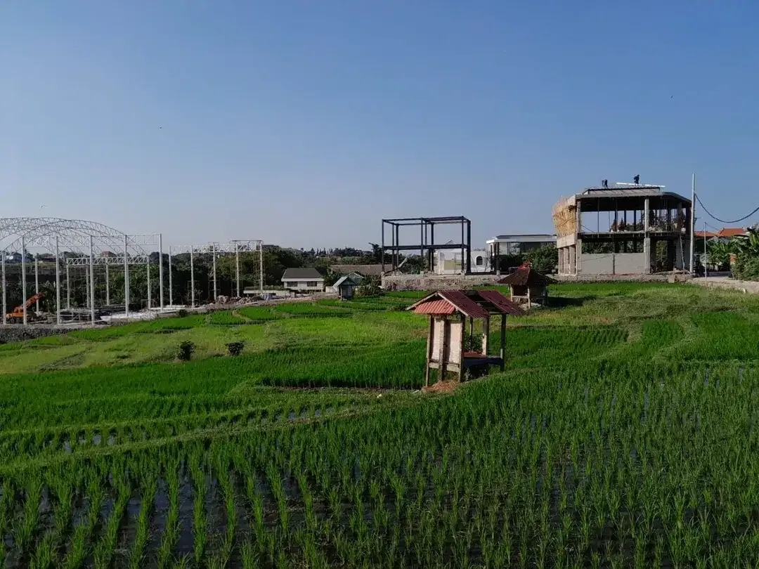 Dijual Tanah Siap Bangun Dekat Canggu dengan View Sawah, Hadap Selatan, dan Lingkungan Villa - Image 1 of 10