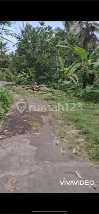 Tanah Termurah Mas Ubud Jalan Utama Zona Kuning - Image 2 of 4