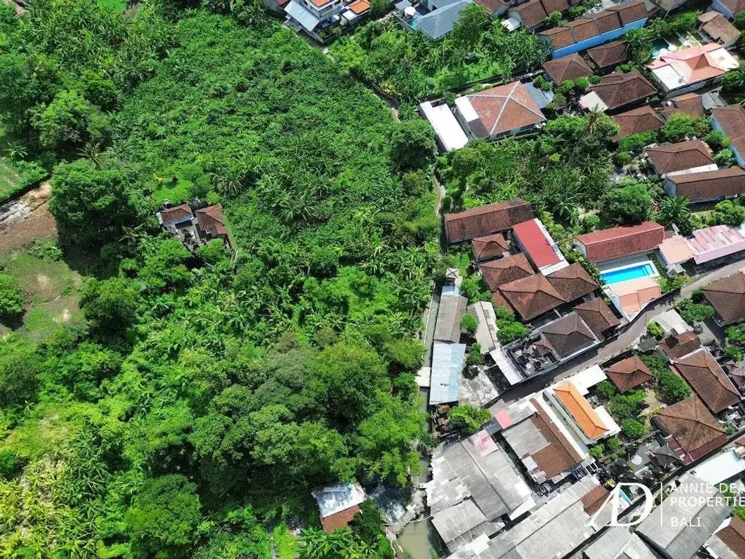 FREEHOLD & LEASEHOLD LAND OPPORTUNITY IN PADONAN - CANGGU - Image 10 of 10