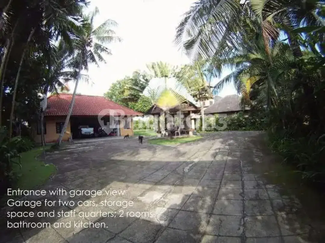 LUXURY VILLA 8BR PERERENAN BEACH WALKING DISTANCE - Image 6 of 8