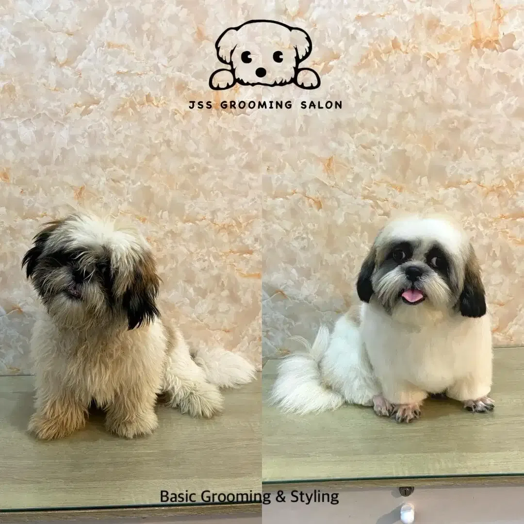 Grooming internasional - Image 1 of 4