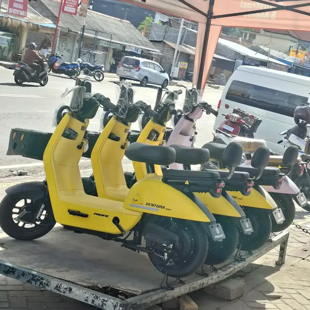 Sepeda Listrik Murah Bisa COD - Image 3 of 3