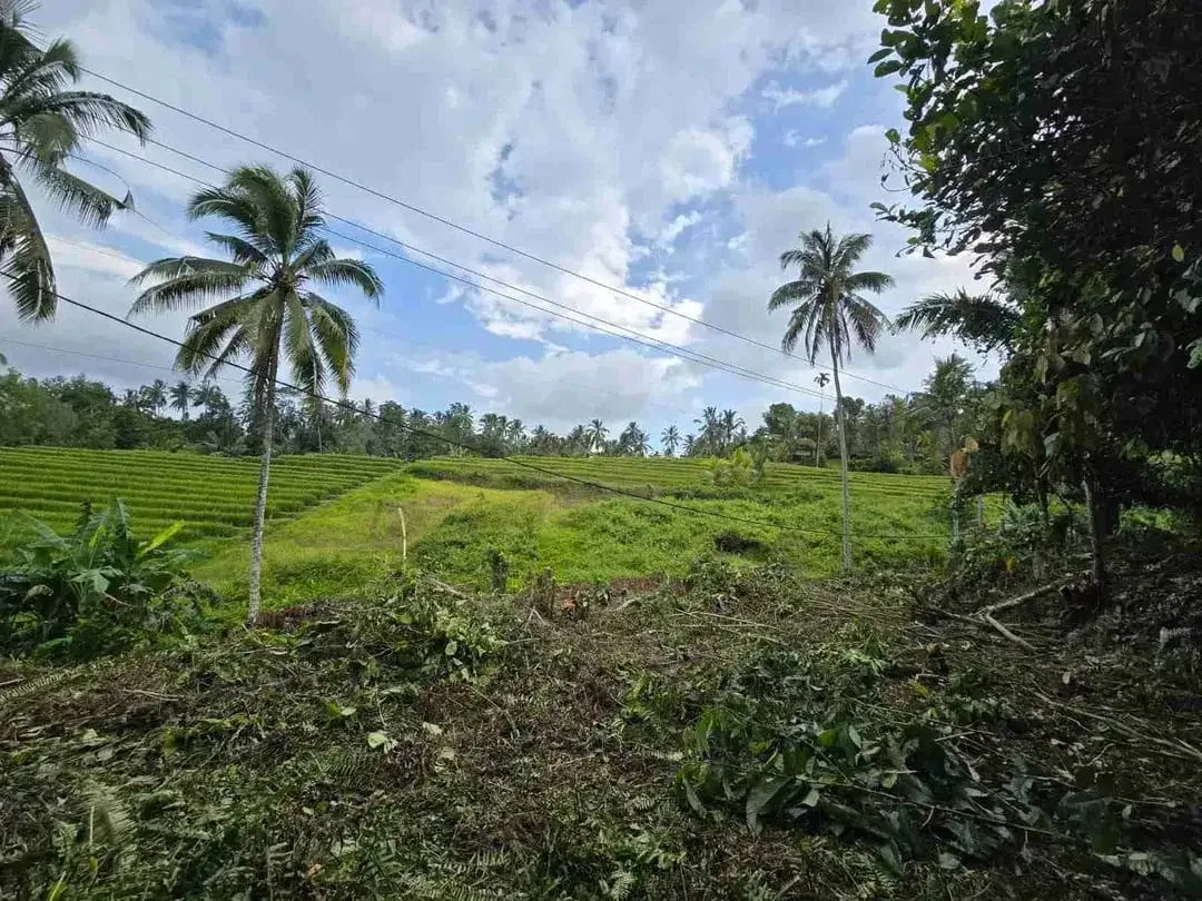 tanah kebun sangat murah dengan view sawah, gunung dan los sungai di tabanan bali - Image 3 of 10
