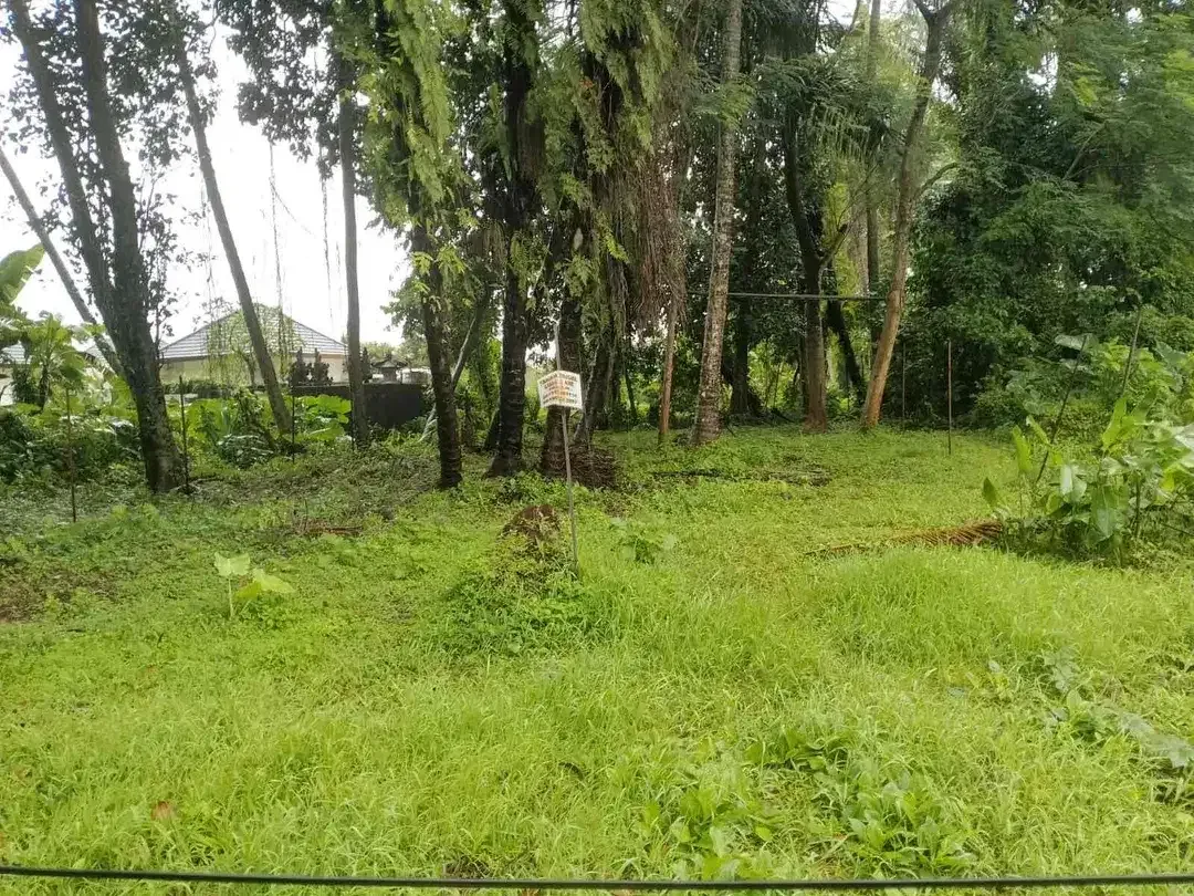 Tanah di Singakerta, Ubud, Bali!
Lokasi: setelah jembatan Nyuh Kuning, Ubud - Image 4 of 5