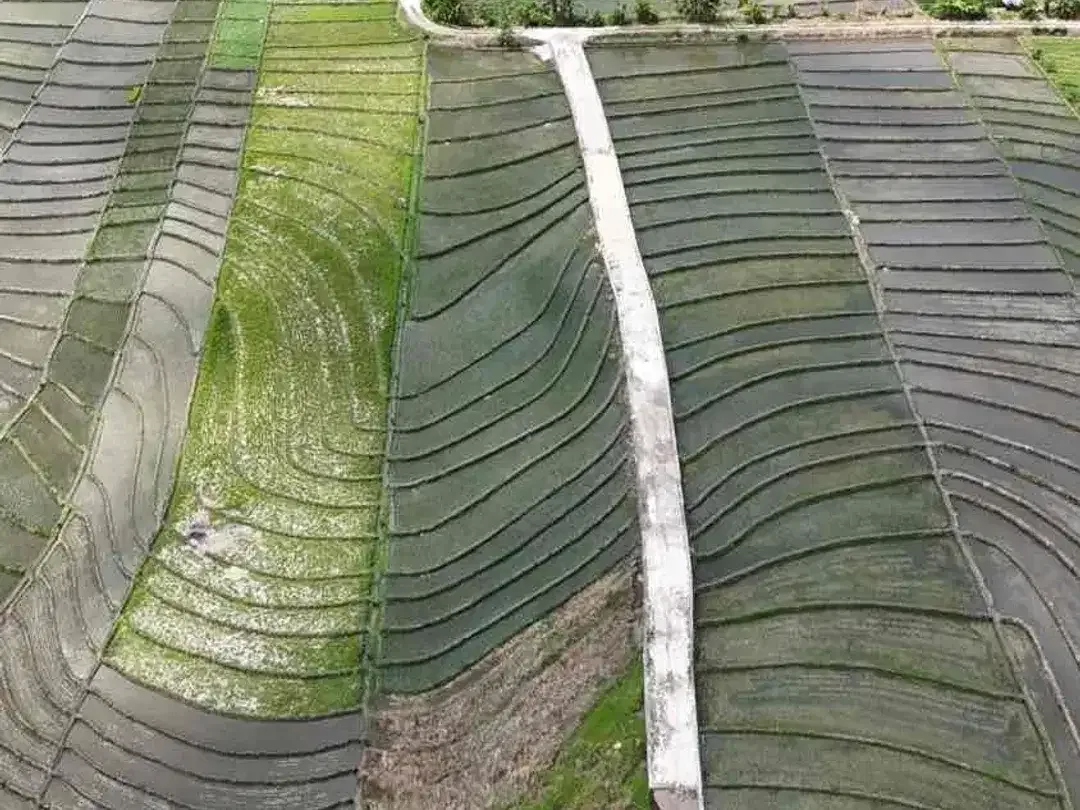 Dijual Tanah Pariwisata SHM 37 Are View Sawah dan Pantai Pasut Bali - Image 7 of 10