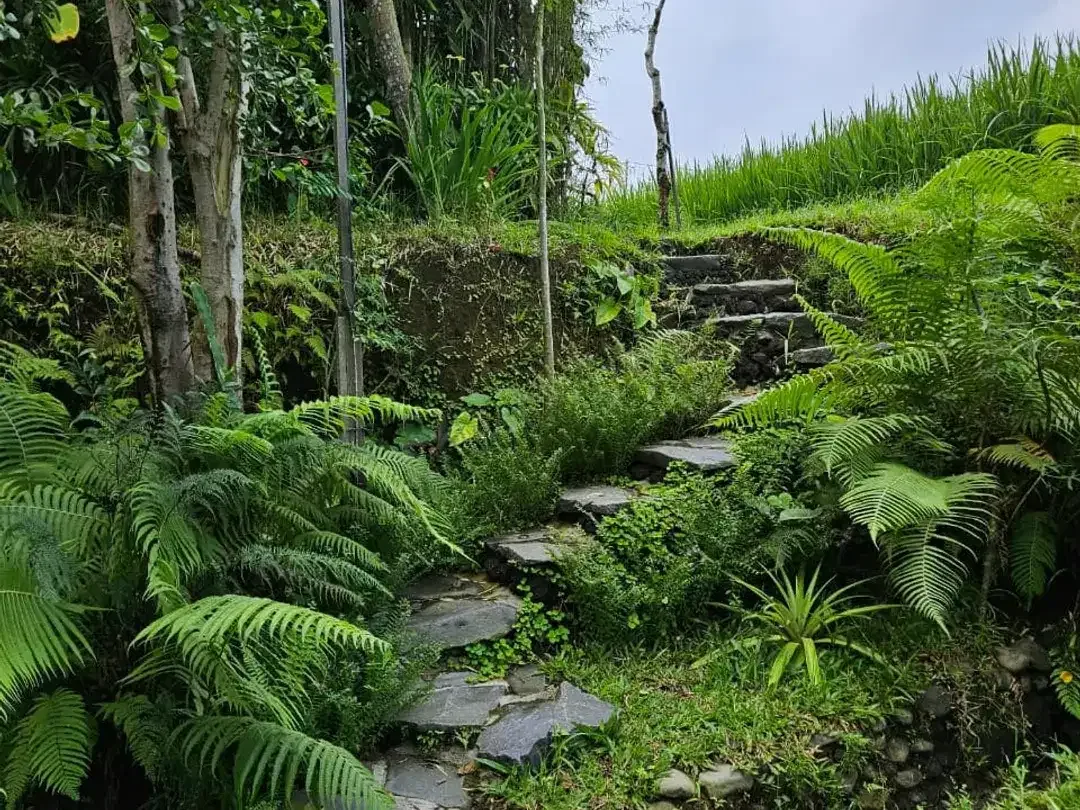 Luxury Eco Villa Investment in Bali's Tropical Highlands - Ubud - Image 3 of 10