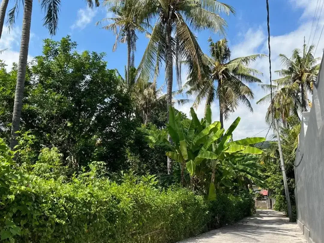 Land for sale in Lovina, Bali - Image 3 of 10