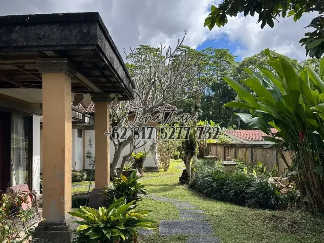 Dijual Villa 1 Lantai SHM 3 Kamar View Alam Sejuk di Baturiti Bedugul Tabanan Bali - Image 3 of 10