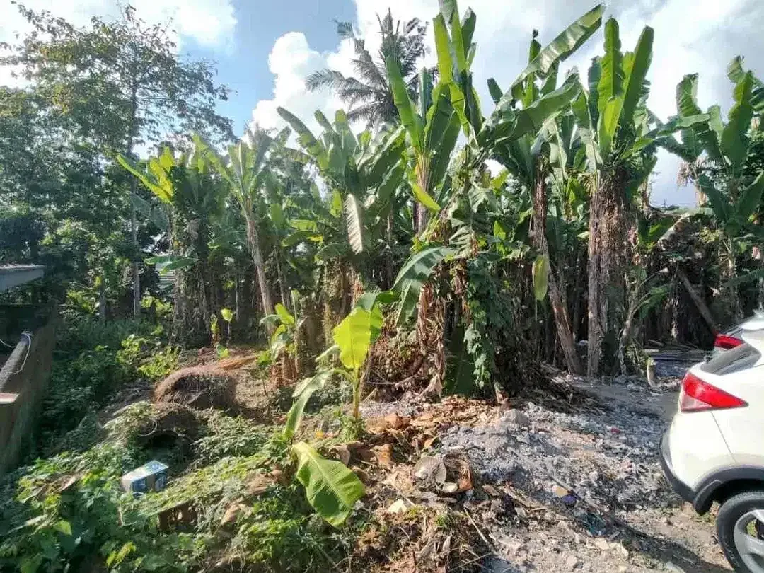 Dijual Tanah Kosong View Sawah dan Sungai - Image 5 of 6