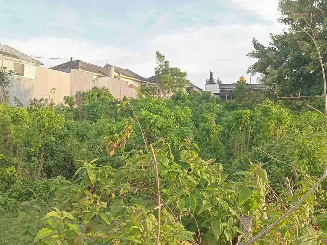 dijual tanah 15 are IDR 425 juta/are view Gwk ungasan Badung Bali - Image 4 of 5
