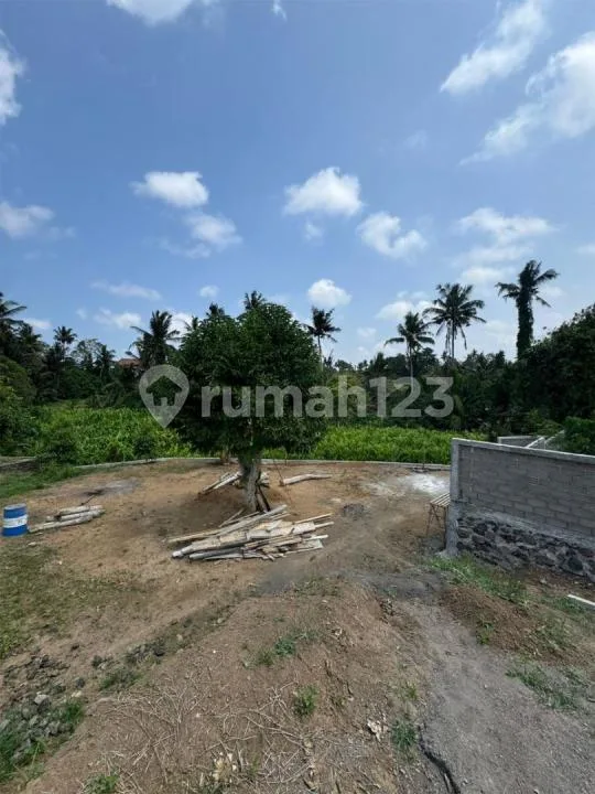 Dijual Tanah - Batuan Kaler, Mas Ubud View Jungle dan Lembah - Image 3 of 4
