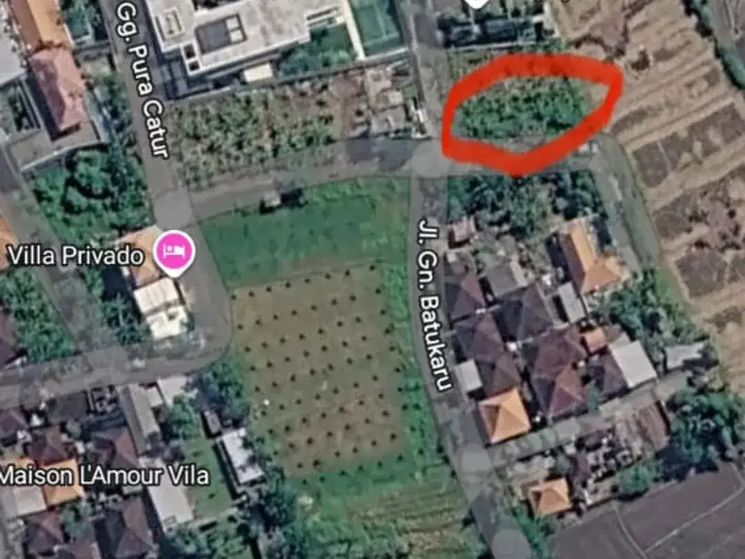 TANAH PREMIUM VIEW SAWAH – TUMBAK BAYUH, PERERENAN - Image 8 of 10