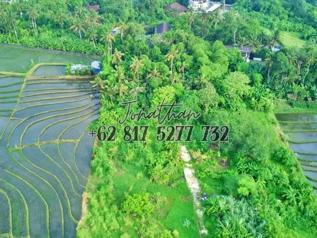 Dijual Tanah View Sawah Zona Wisata di Pantai Nyanyi Tabanan Bali - LSADT - Image 3 of 10
