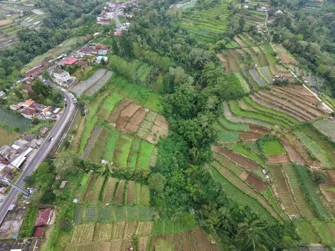 Tanah view pegunungan bedugul - Image 2 of 10