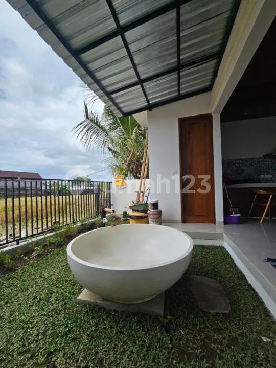 Disewakan Rumah Minimalis di Ubud - Image 2 of 4