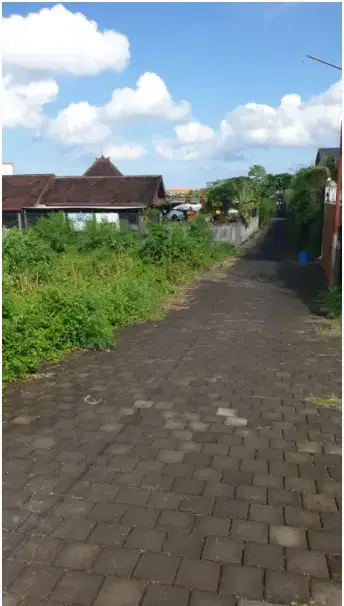 Tanah Murah di Berawa Canggu - Image 2 of 10